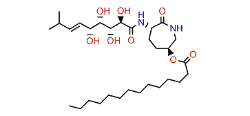 Bengamide G